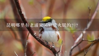 昆明哪里有老浦家买宣威火腿的?? 昆明哪里有老浦家买宣威火腿的??