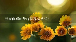 云南曲靖的经济状况怎么样? 云南曲靖的经济状况怎么样?
