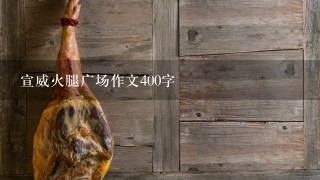 宣威火腿广场作文400字 宣威火腿广场作文400字
