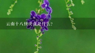 云南十八怪美食是什么? 云南十八怪美食是什么?