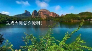 宣威火腿怎么腌制? 宣威火腿怎么腌制?
