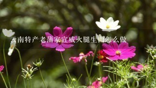 云南特产老蒲家宣威火腿生肉怎么做 云南特产老蒲家宣威火腿生肉怎么做