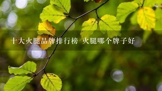 十大火腿品牌排行榜 火腿哪个牌子好 十大火腿品牌排行榜 火腿哪个牌子好