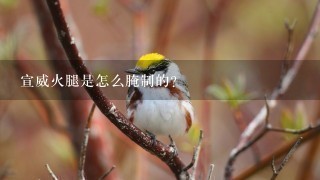 宣威火腿是怎么腌制的? 宣威火腿是怎么腌制的?