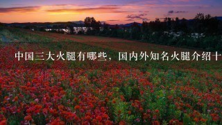 中国三大火腿有哪些,国内外知名火腿介绍十大品牌网? 中国三大火腿有哪些,国内外知名火腿介绍十大品牌网?