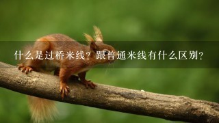 什么是过桥米线?跟普通米线有什么区别? 什么是过桥米线?跟普通米线有什么区别?