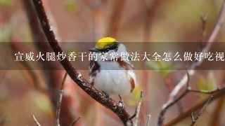 宣威火腿炒香干的家常做法大全怎么做好吃视频 宣威火腿炒香干的家常做法大全怎么做好吃视频