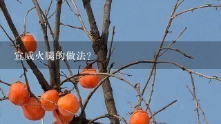 宣威火腿的做法? 宣威火腿的做法?