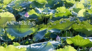 火腿一般怎么吃 火腿一般怎么吃