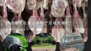 济南哪里有卖云南特产宣威火腿的? 济南哪里有卖云南特产宣威火腿的?