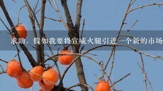 求助,假如我要将宣威火腿引进一个新的市场,应该怎么样对它进行市场细分?能否给个大概的市场细分? 求助,假如我要将宣威火腿引进一个新的市场,应该怎么样对它进行市场细分?能否给个大概的市场细分?