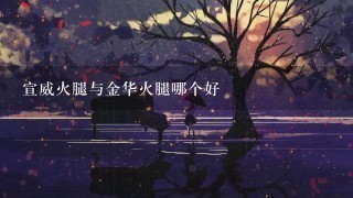 宣威火腿与金华火腿哪个好 宣威火腿与金华火腿哪个好