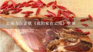 云南方言歪歌《我的家在云南》歌词 云南方言歪歌《我的家在云南》歌词