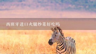 西班牙进口火腿炒菜好吃吗 西班牙进口火腿炒菜好吃吗