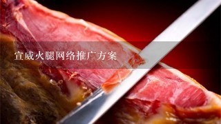 宣威火腿网络推广方案 宣威火腿网络推广方案