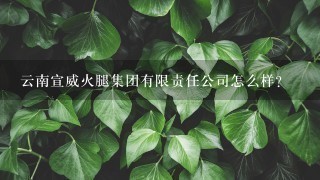 云南宣威火腿集团有限责任公司怎么样? 云南宣威火腿集团有限责任公司怎么样?