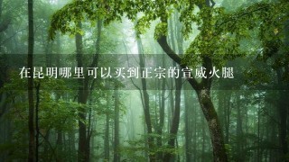 在昆明哪里可以买到正宗的宣威火腿 在昆明哪里可以买到正宗的宣威火腿