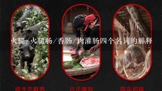 火腿/火腿肠/香肠/肉灌肠四个名词的解释 火腿/火腿肠/香肠/肉灌肠四个名词的解释
