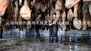 云南禄劝的撒坝火腿比起宣威火腿,哪个更好吃一点? 云南禄劝的撒坝火腿比起宣威火腿,哪个更好吃一点?