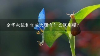 金华火腿和宣威火腿有什么区别呢? 金华火腿和宣威火腿有什么区别呢?
