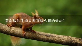 黄磊版的手撕豆腐宣威火腿的做法? 黄磊版的手撕豆腐宣威火腿的做法?