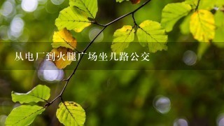 从电厂到火腿广场坐几路公交 从电厂到火腿广场坐几路公交