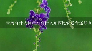 云南有什么特产?有什么东西比较适合送朋友? 云南有什么特产?有什么东西比较适合送朋友?