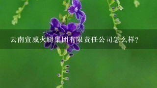 云南宣威火腿集团有限责任公司怎么样? 云南宣威火腿集团有限责任公司怎么样?