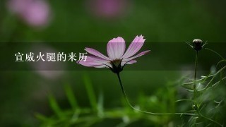 宣威火腿的来历 宣威火腿的来历