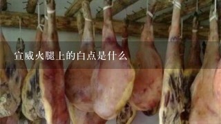 宣威火腿上的白点是什么 宣威火腿上的白点是什么