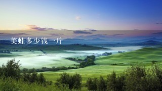 美蛙多少钱1斤 美蛙多少钱1斤
