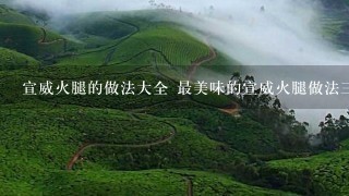 宣威火腿的做法大全 最美味的宣威火腿做法三则分享 宣威火腿的做法大全 最美味的宣威火腿做法三则分享