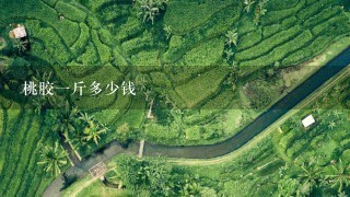 桃胶1斤多少钱 桃胶1斤多少钱