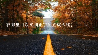 在哪里可以买到正宗的宣威火腿? 在哪里可以买到正宗的宣威火腿?
