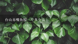 台山赤嘴鱼胶1斤多少钱 台山赤嘴鱼胶1斤多少钱