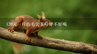 120元1斤的毛尖茶叶好不好喝 120元1斤的毛尖茶叶好不好喝