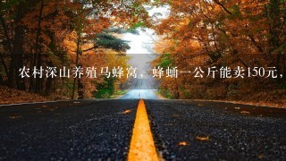 农村深山养殖马蜂窝,蜂蛹1公斤能卖150元,可以靠 农村深山养殖马蜂窝,蜂蛹1公斤能卖150元,可以靠