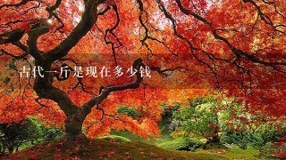 古代1斤是现在多少钱 古代1斤是现在多少钱