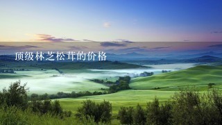 顶级林芝松茸的价格 顶级林芝松茸的价格