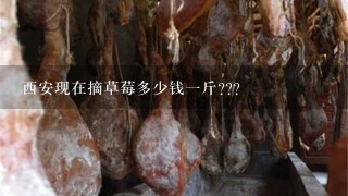 西安现在摘草莓多少钱1斤??? 西安现在摘草莓多少钱1斤???