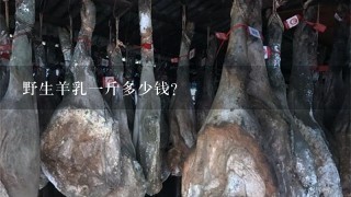 野生羊乳1斤多少钱? 野生羊乳1斤多少钱?