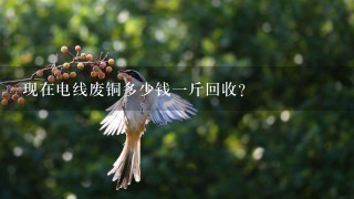 现在电线废铜多少钱1斤回收? 现在电线废铜多少钱1斤回收?