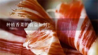 种植香菜的收益如何? 种植香菜的收益如何?