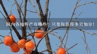 国内各地特产有哪些?只要你答得多另加分! 国内各地特产有哪些?只要你答得多另加分!