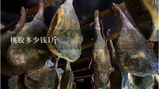 桃胶多少钱1斤 桃胶多少钱1斤