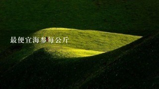 最便宜海参每公斤 最便宜海参每公斤