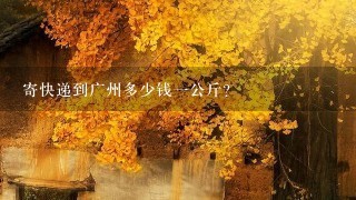 寄快递到广州多少钱1公斤? 寄快递到广州多少钱1公斤?