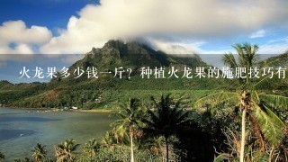 火龙果多少钱1斤?种植火龙果的施肥技巧有哪些? 火龙果多少钱1斤?种植火龙果的施肥技巧有哪些?