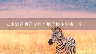 云南满泽西洋参片产地价格多少钱1斤? 云南满泽西洋参片产地价格多少钱1斤?