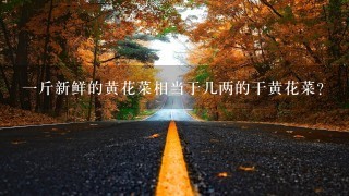 1斤新鲜的黄花菜相当于几两的干黄花菜? 1斤新鲜的黄花菜相当于几两的干黄花菜?